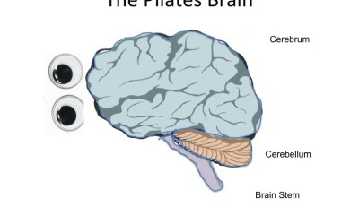 Brain Fitness & Mind Body Techniques